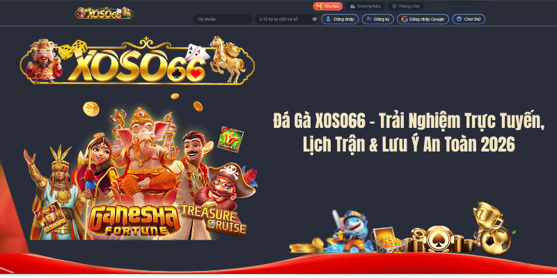 Đá Gà XOSO66 – Trải Nghiệm Trực Tuyến, Lịch Trận & Lưu Ý An Toàn 2026